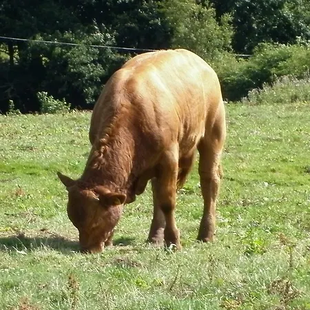 North York Moors Agroturismo