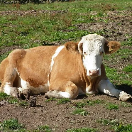 Agroturismo North York Moors *