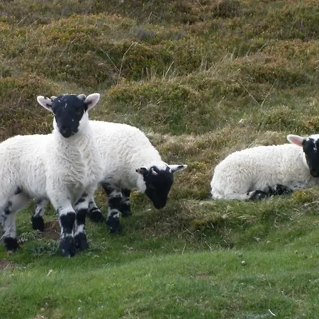 North York Moors Studios *