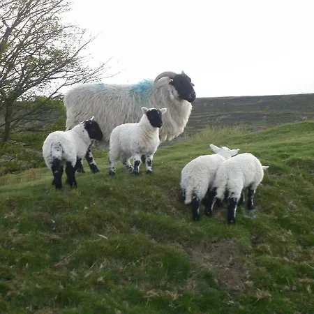 Farm stay North York Moors Studios