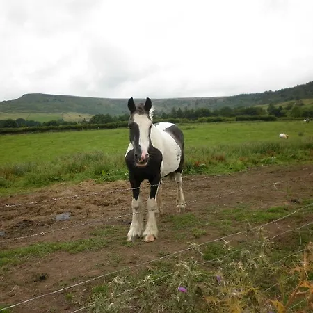 North York Moors *