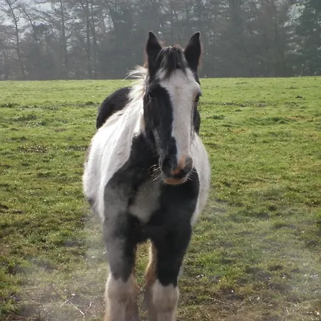 North York Moors Agroturismo *