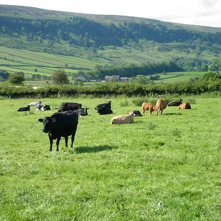 North York Moors Studios Farm stay *
