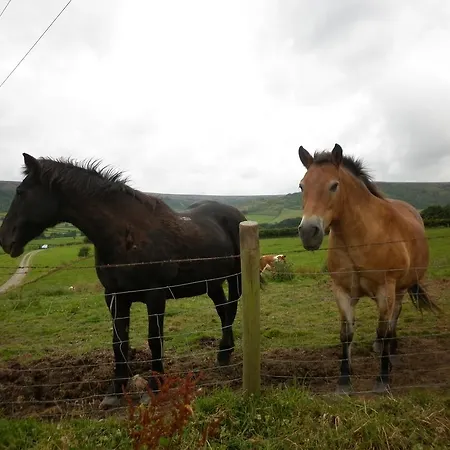 Farm stay North York Moors Studios *