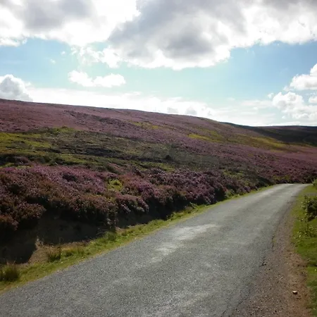North York Moors