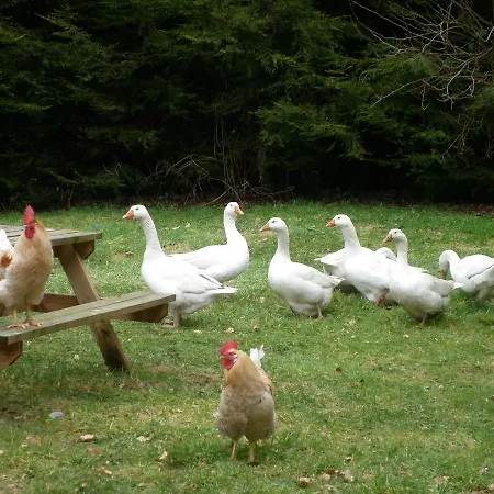 Farm stay North York Moors Studios Fryup