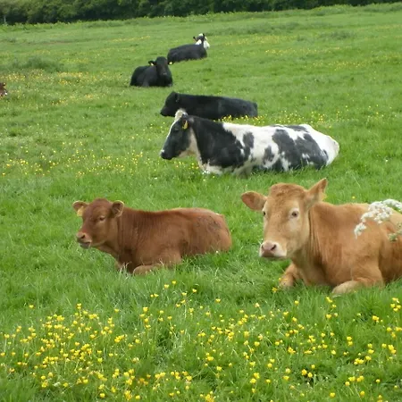 Agroturismo North York Moors *